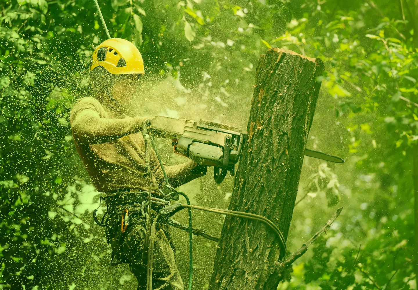 man doing tree service Pinconning MI