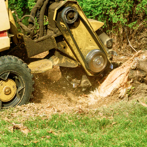 stump removal Pinconning MI